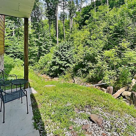 Bearly Hidden Villa Gatlinburg Ngoại thất bức ảnh
