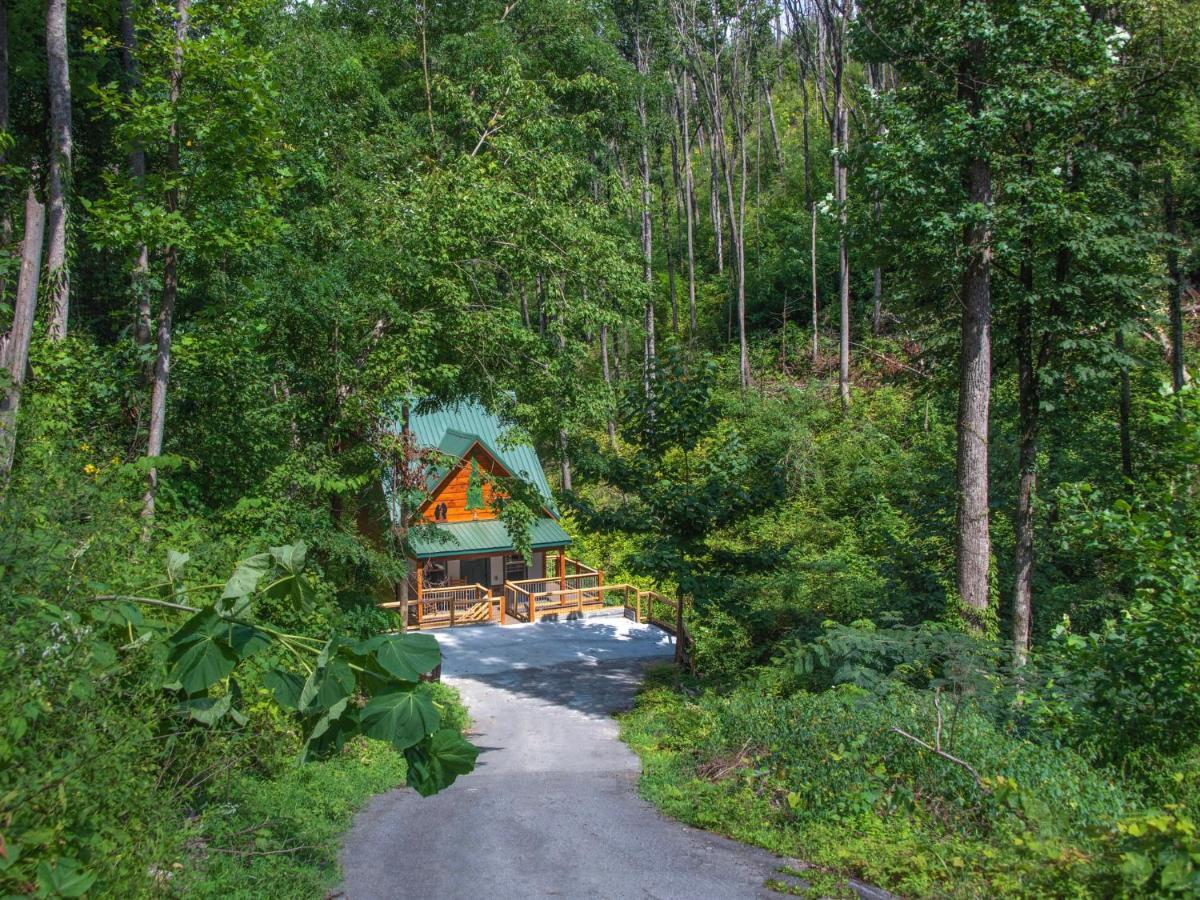 Bearly Hidden Villa Gatlinburg Ngoại thất bức ảnh