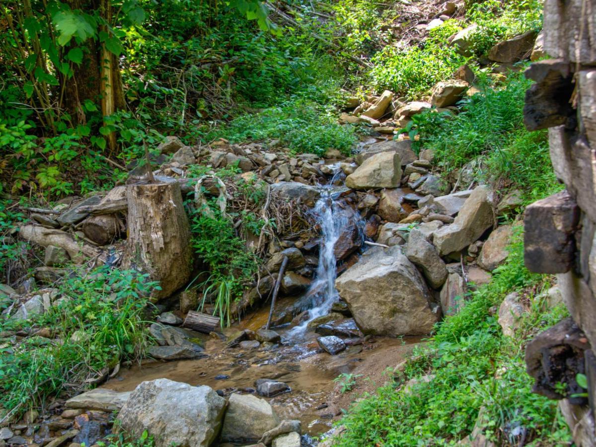 Bearly Hidden Villa Gatlinburg Ngoại thất bức ảnh