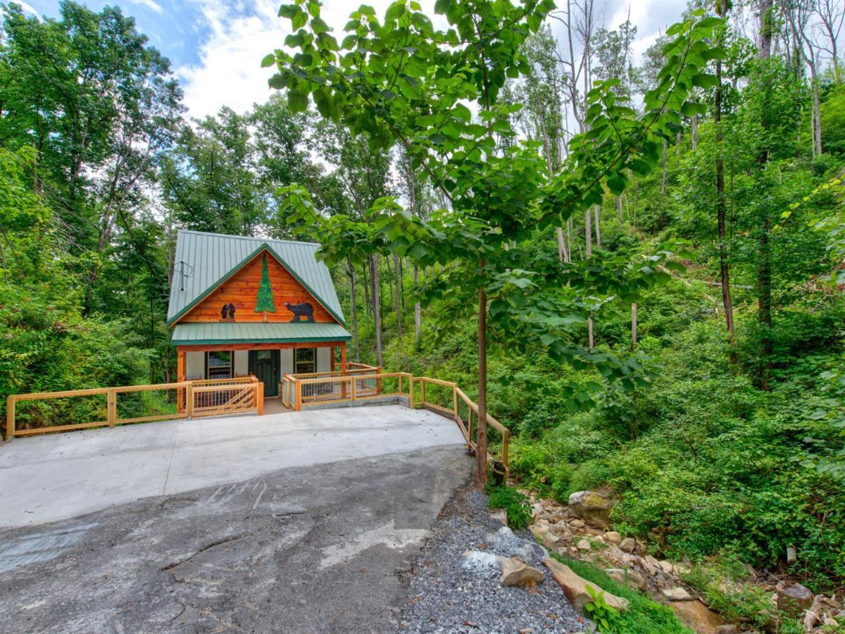 Bearly Hidden Villa Gatlinburg Ngoại thất bức ảnh